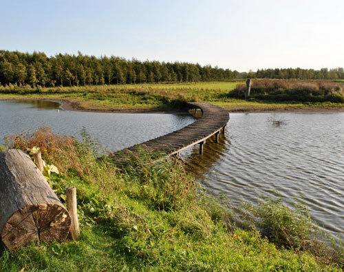broekpolder3-500x395