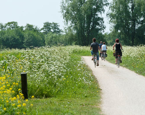 broekpolder1-500x395
